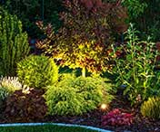 Landscape Lighting